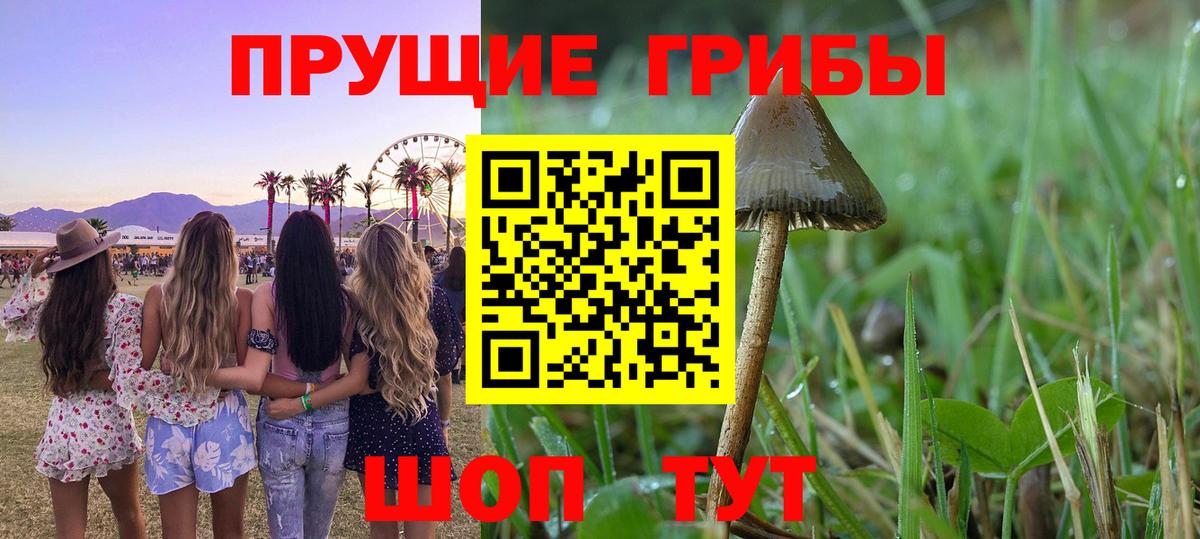 Сургут  Псилоцибиновые грибы мицелий  Вход с VPN 